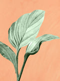 Palmeira em Laranja 3 — Allen, Kimberly