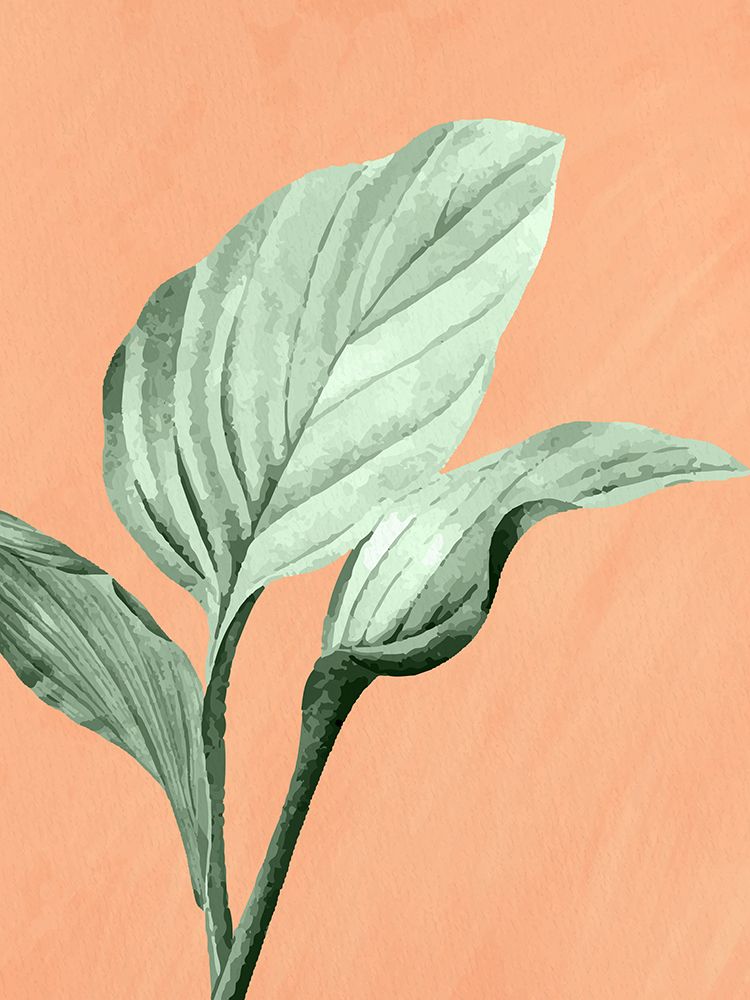 Palmeira em Laranja 3 — Allen, Kimberly