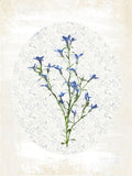 Floral Oval 1 — Allen, Kimberly