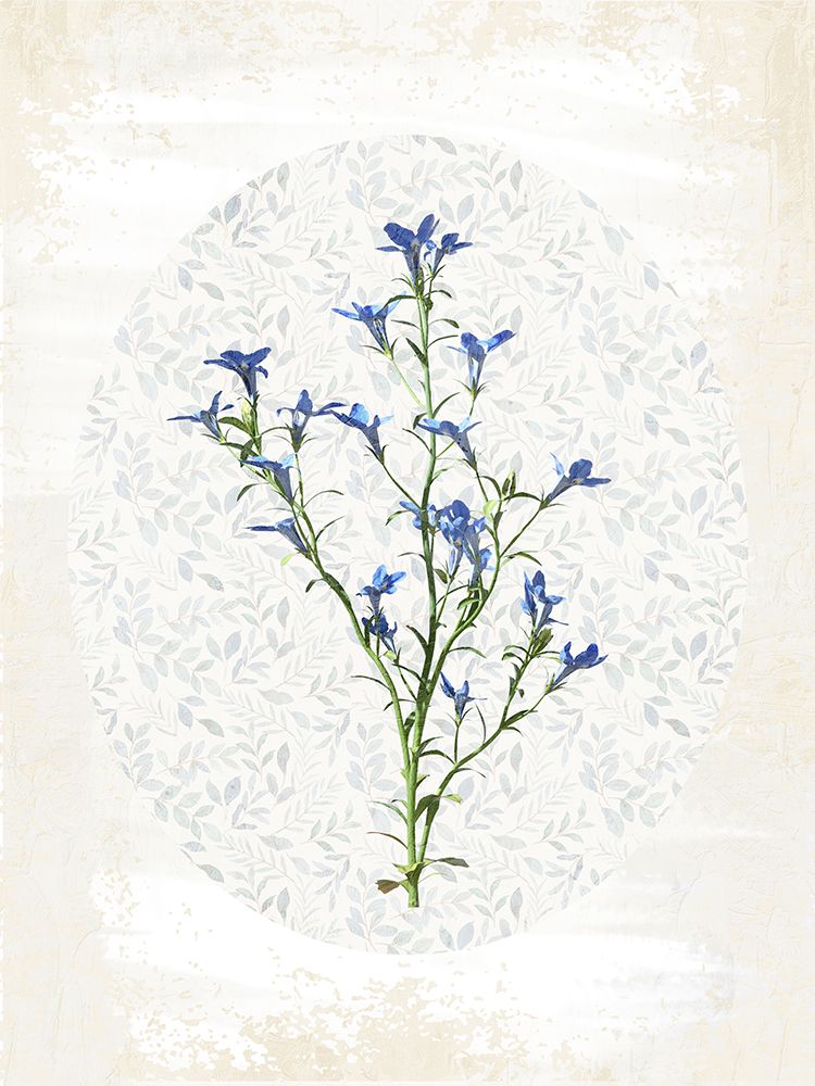 Floral Oval 1 — Allen, Kimberly