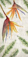 Flores Tropicais 1 — Allen, Kimberly