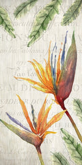 Flores Tropicais 2 — Allen, Kimberly