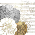Notas Metálicas 1 — Allen, Kimberly