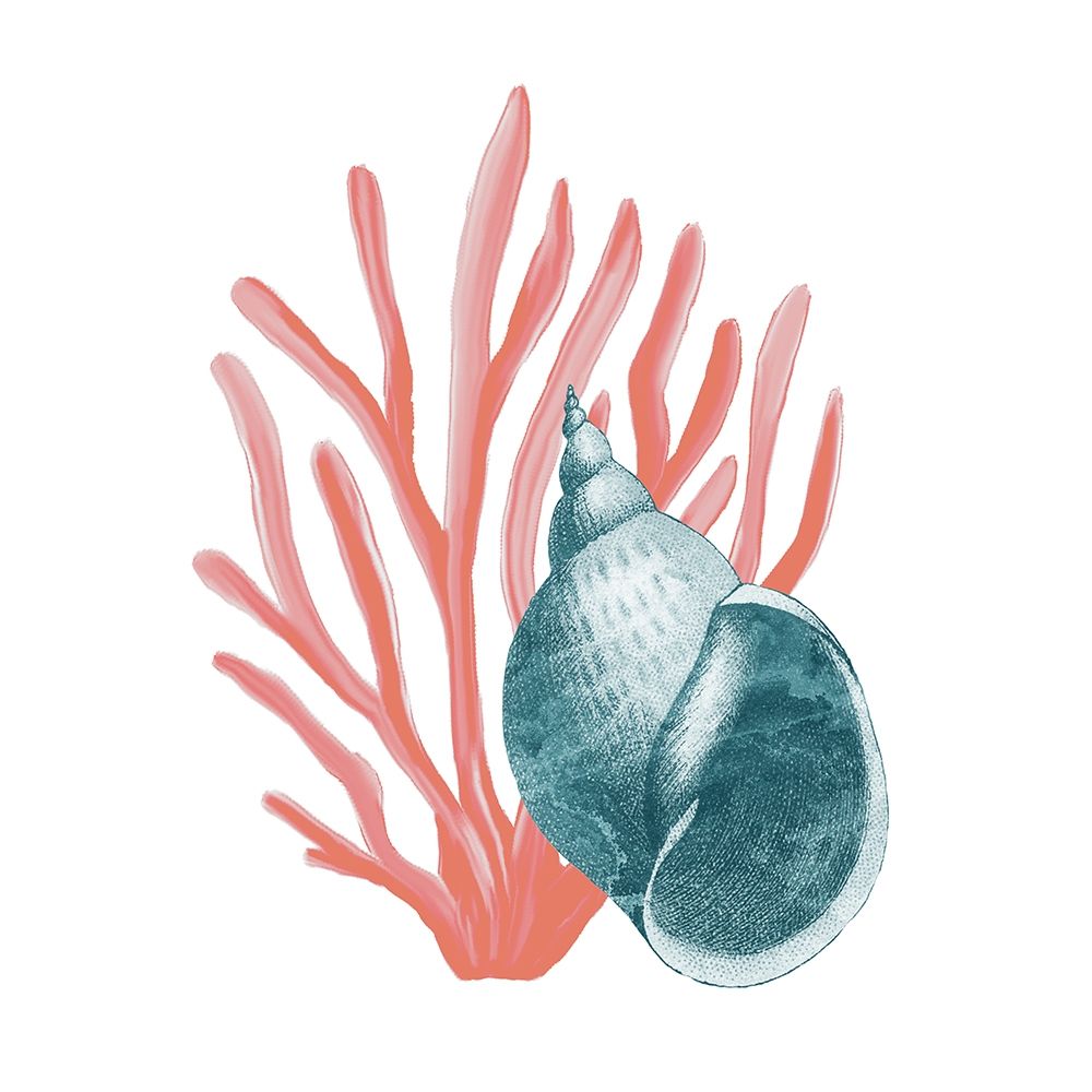 Coral Costeiro 4 — Allen, Kimberly