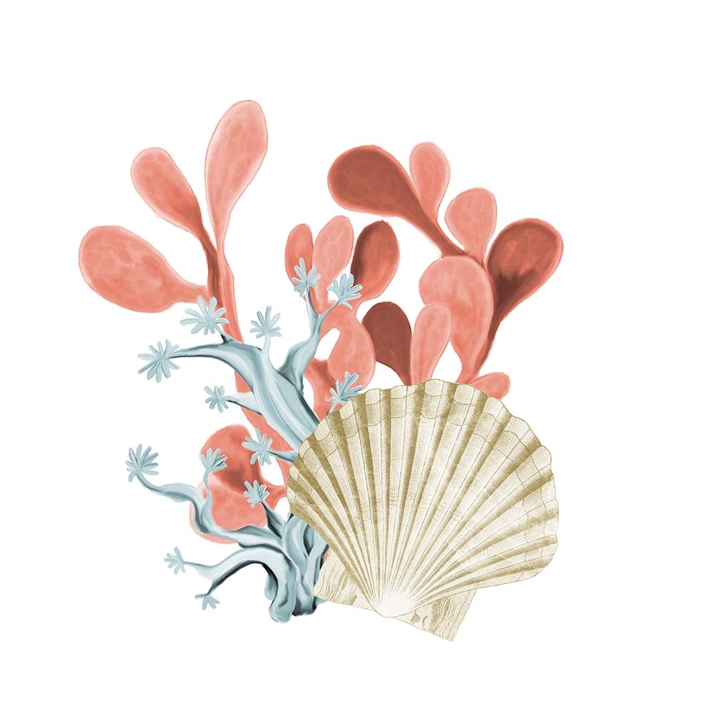 Coral Costeiro 5 — Allen, Kimberly
