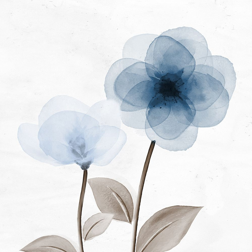 Flor Aberta 2 V 2 — Allen, Kimberly