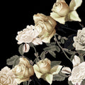 Elegância 2 — Allen, Kimberly