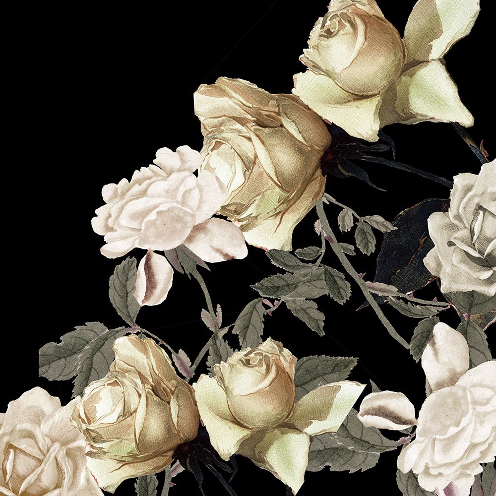 Elegância 2 — Allen, Kimberly
