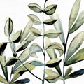 Ramalhete Verde 1 — Allen, Kimberly