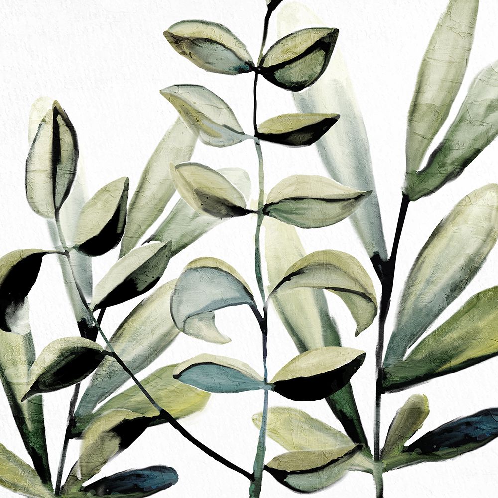 Ramalhete Verde 1 — Allen, Kimberly