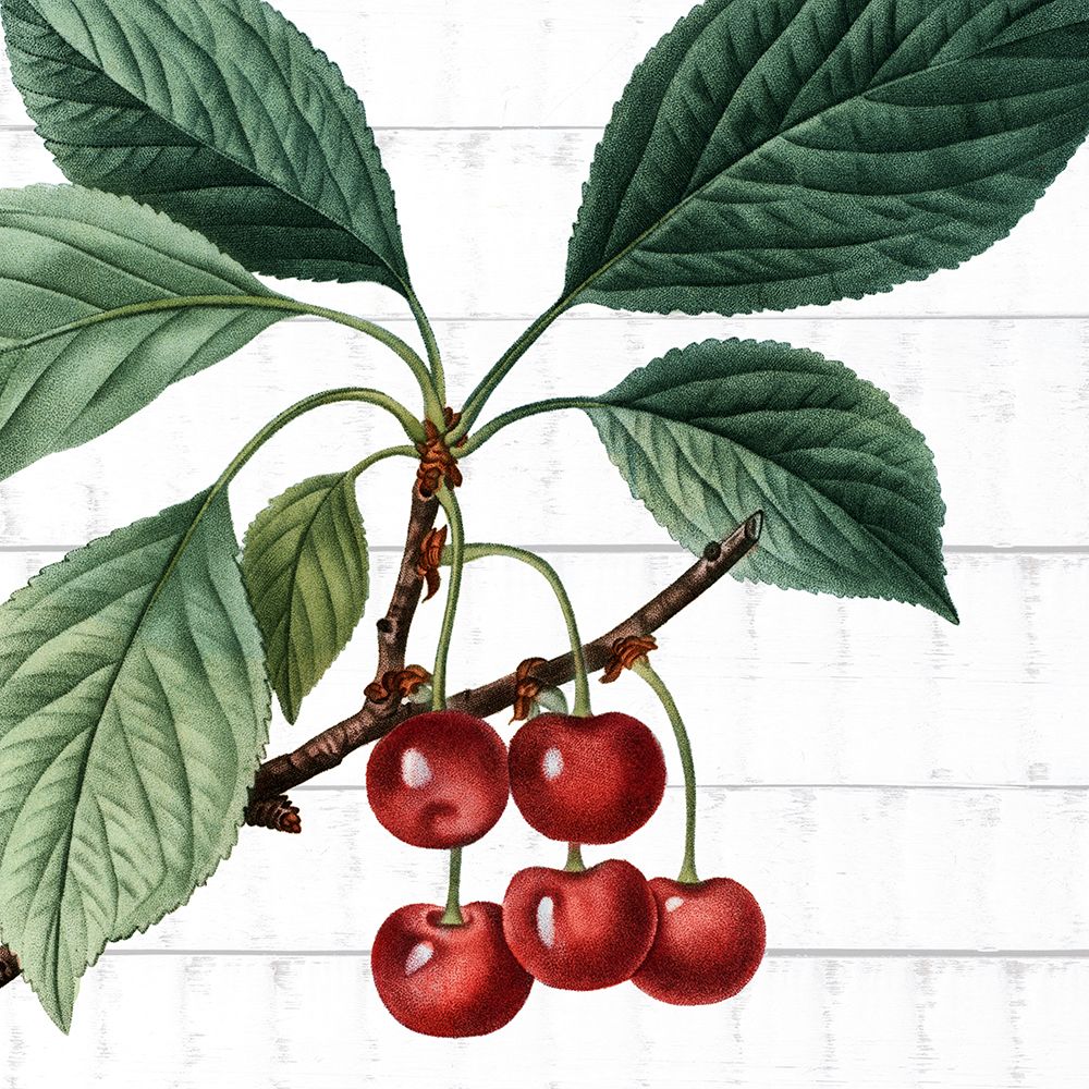 Colhendo Frutas 1 — Allen, Kimberly
