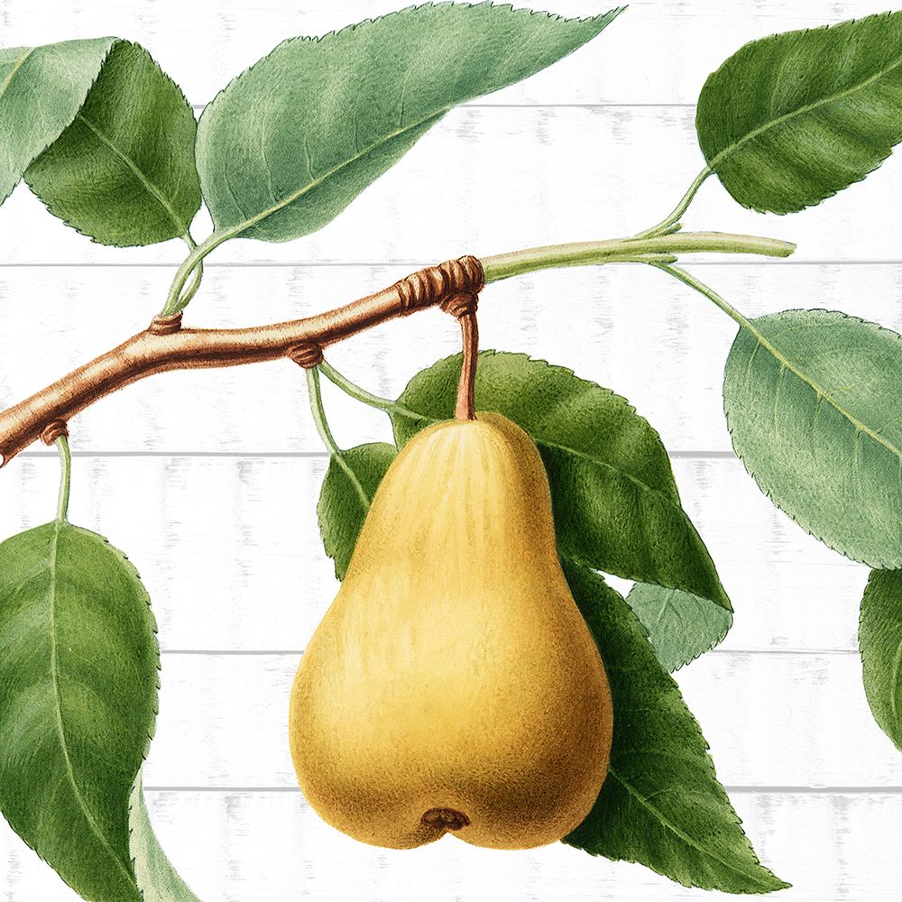 Colhendo Frutas 2 — Allen, Kimberly