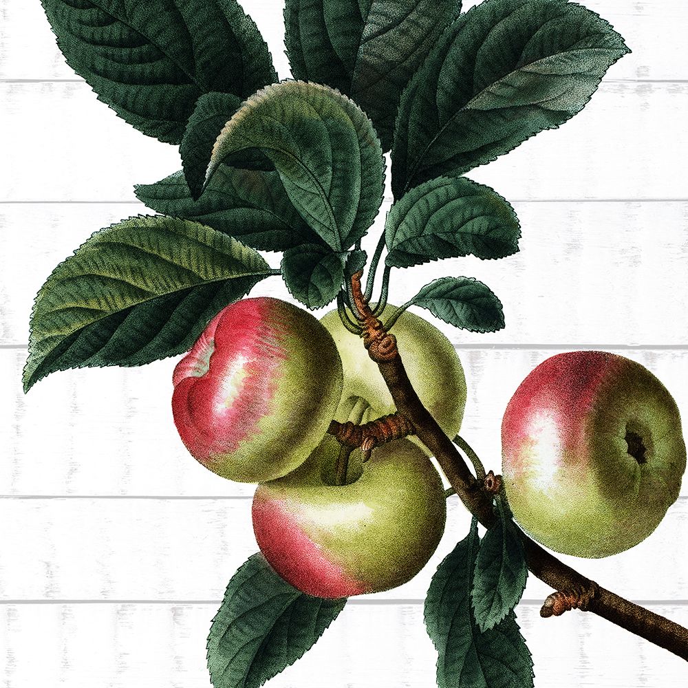Colhendo Frutas 3 — Allen, Kimberly