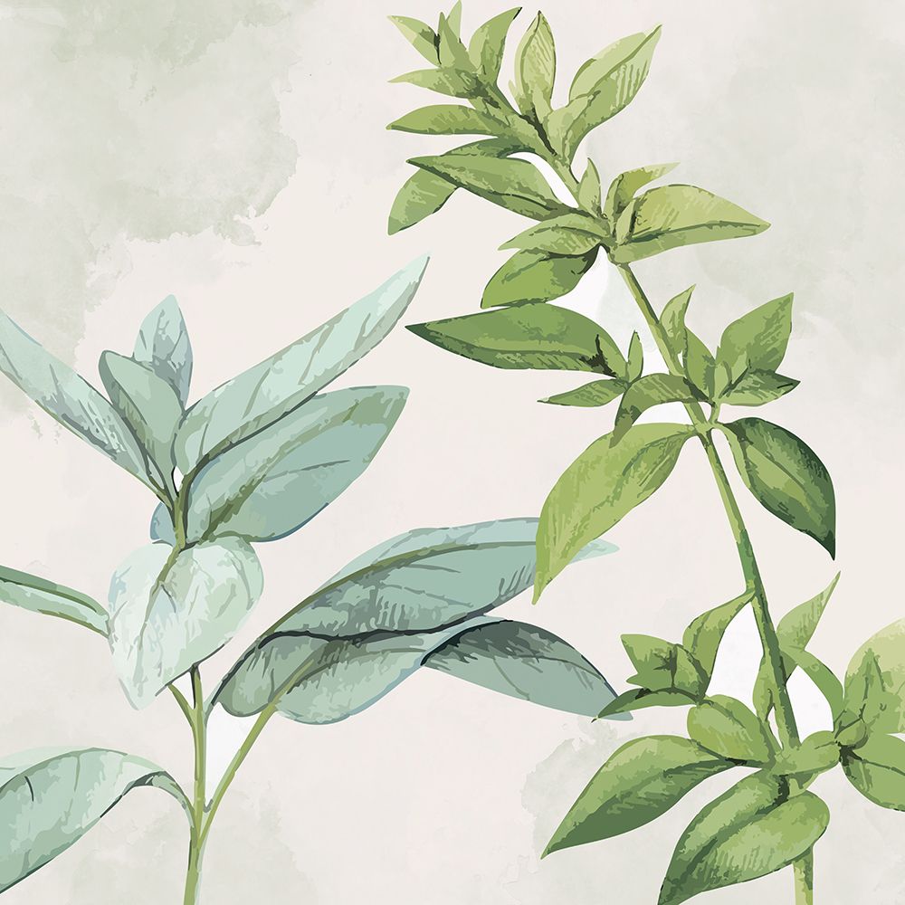 Fresco 1 — Allen, Kimberly