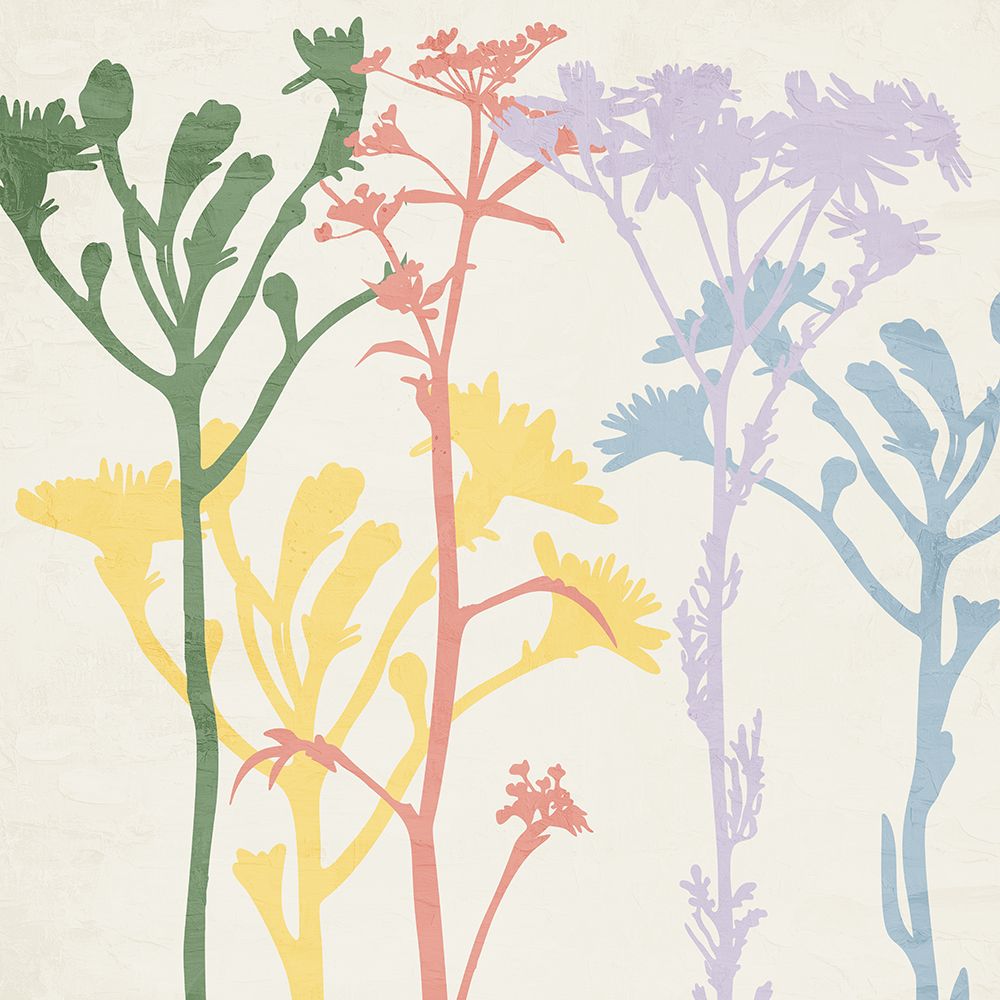 Cor de Primavera 1 — Allen, Kimberly