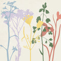 Cor de Primavera 2 — Allen, Kimberly
