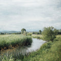 Rio Acima — Allen, Kimberly