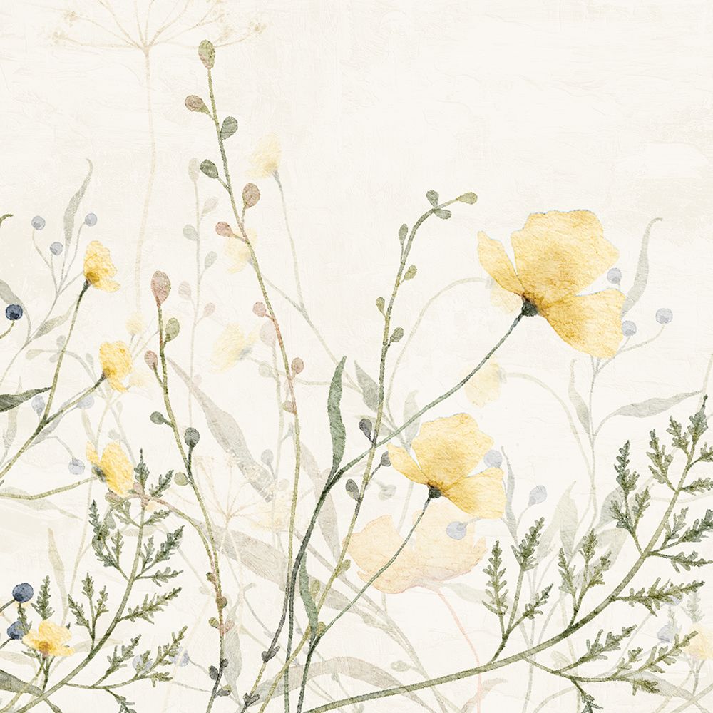 Flor do Campo Amarelo 1 — Allen, Kimberly