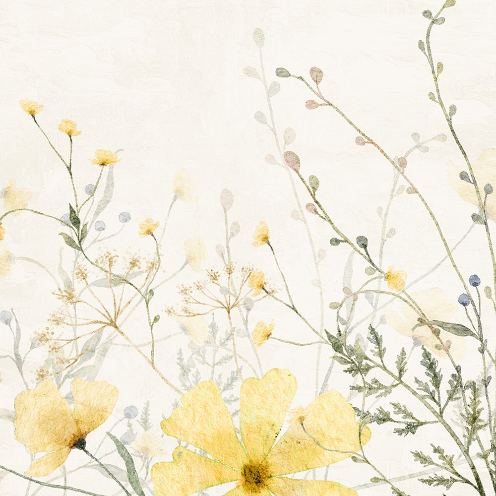 Flor do Campo Amarelo 2 — Allen, Kimberly