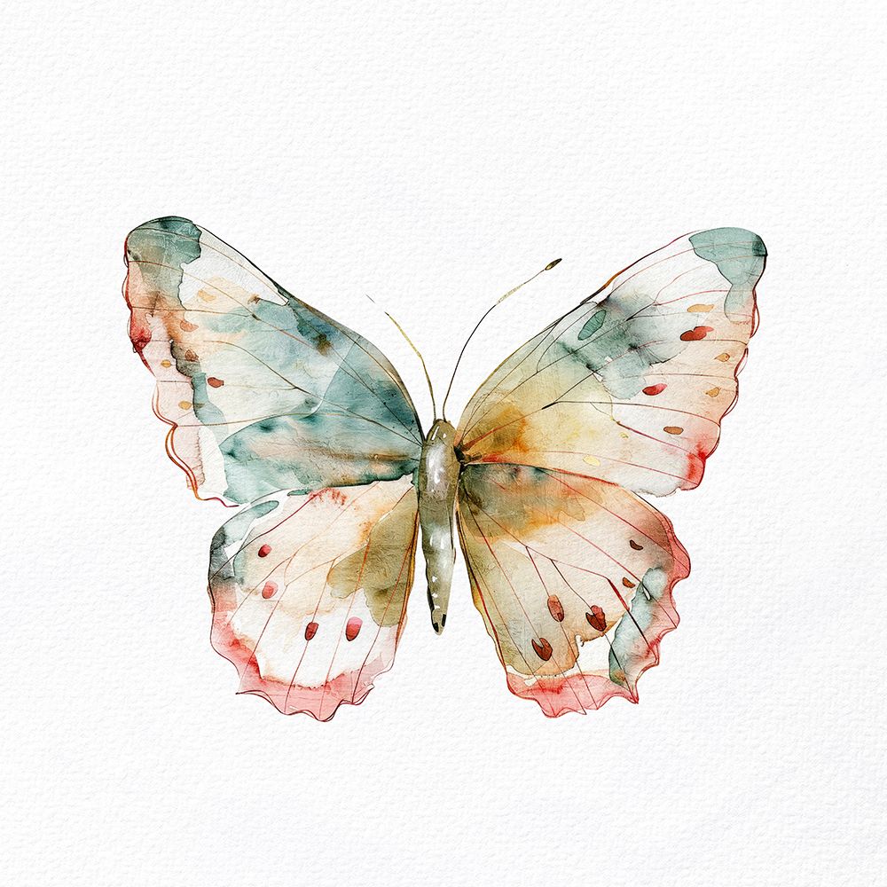 Borboleta Aquarela 2 — Allen, Kimberly