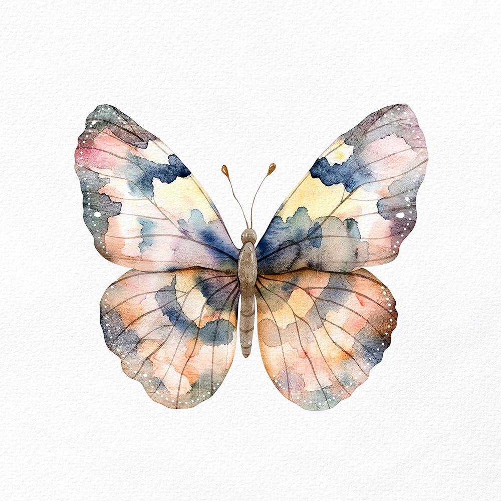 Borboleta Aquarela 3 — Allen, Kimberly