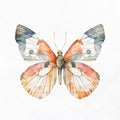 Borboleta Aquarela 4 — Allen, Kimberly