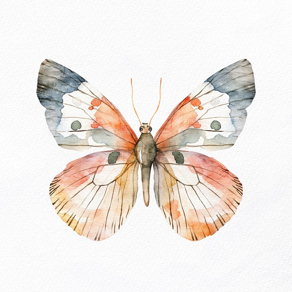 Borboleta Aquarela 4 — Allen, Kimberly