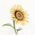 Raios de Sol 1 — Leah Noel Art