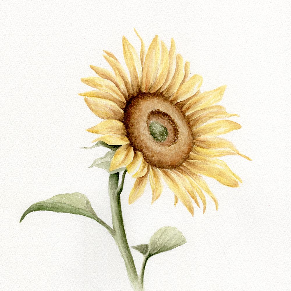Raios de Sol 1 — Leah Noel Art