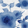 Rosa Azul 1 — Rossi, Lorraine