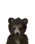 Urso Pequeno Preto — Straatsma, Leah
