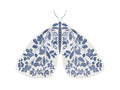 Azul e Mariposa Branca — Straatsma, Leah