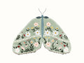 Mariposa Floral 2 — Straatsma, Leah
