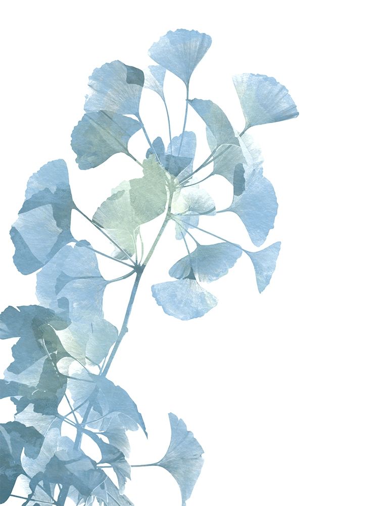 Vida do Ginkgo 1 — Prime, Marcus