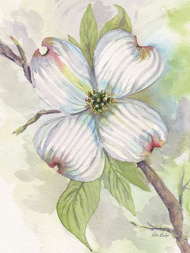 Corniso — Bishop, Patti