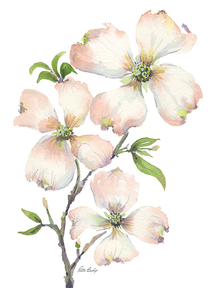Ramalhete de Corniso — Bishop, Patti