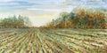 Campo de Outono I — Bishop, Patti