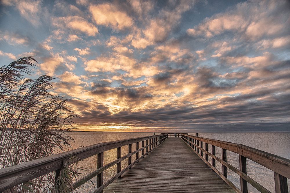 Amanhecer em East Islip — DeLuca, Pat