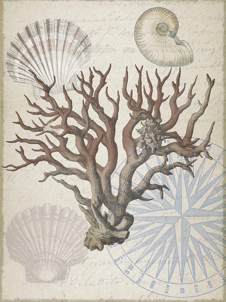 Coral do Litoral I — Lula Bijoux and Company