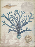 Coral do Litoral 2 2 — Lula Bijoux and Company