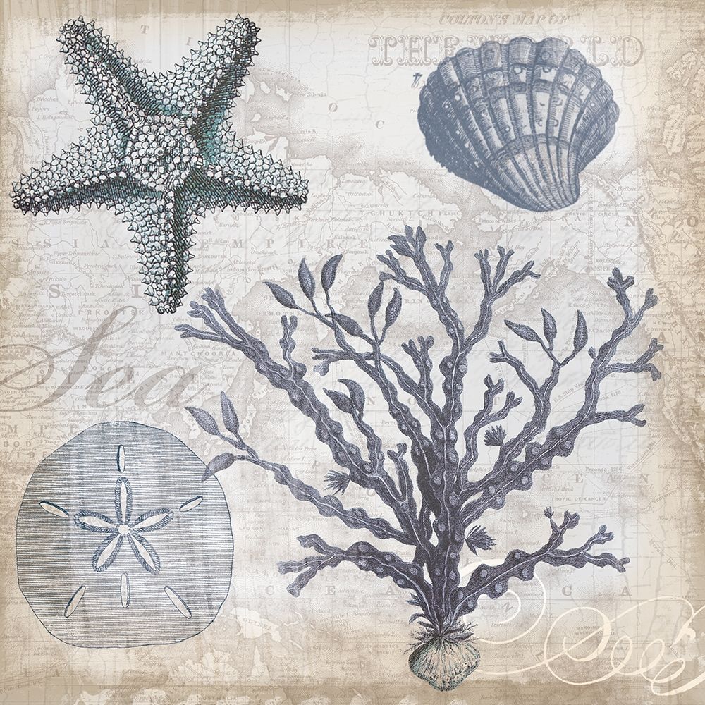 Colagem Costeira — Lula Bijoux and Company