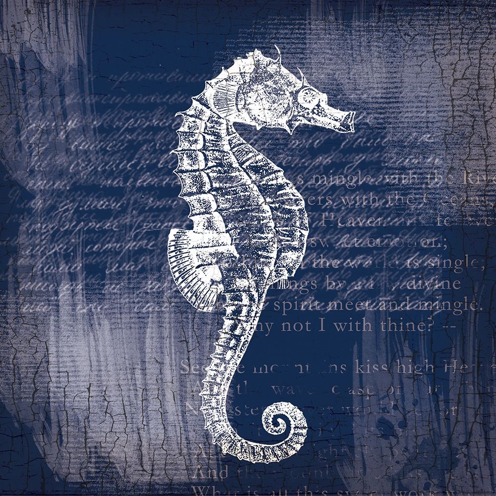 Cavalo-Marinho sobre Azul — Lula Bijoux and Company
