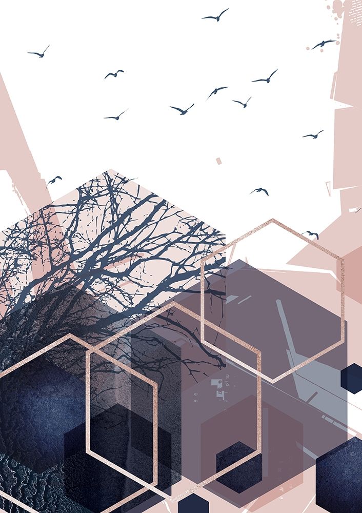 Pássaros Geométricos 2 — Urban Epiphany
