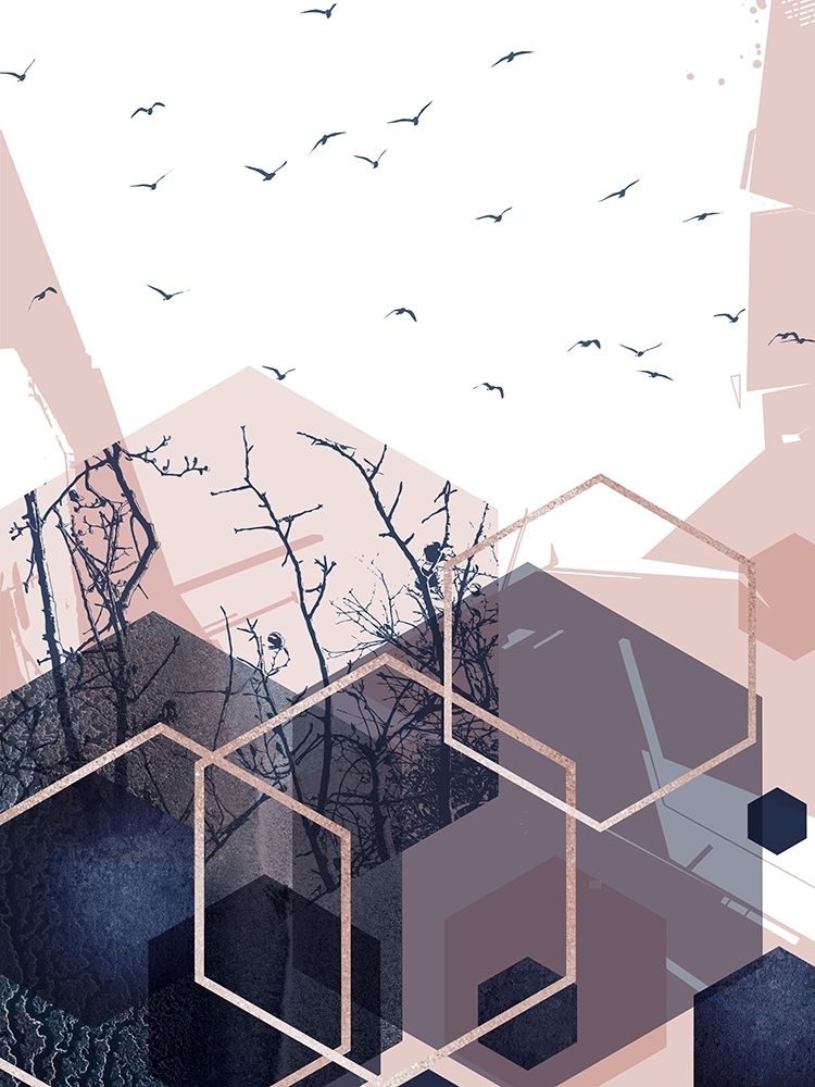 Pássaros Geométricos 3 — Urban Epiphany