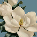 Dolce Magnolia — Levashov, Igor