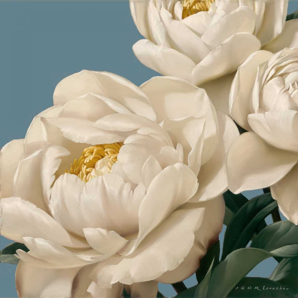 Dolce Peonia — Levashov, Igor