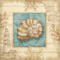 Andarilho da Praia III — Knutsen, Conrad