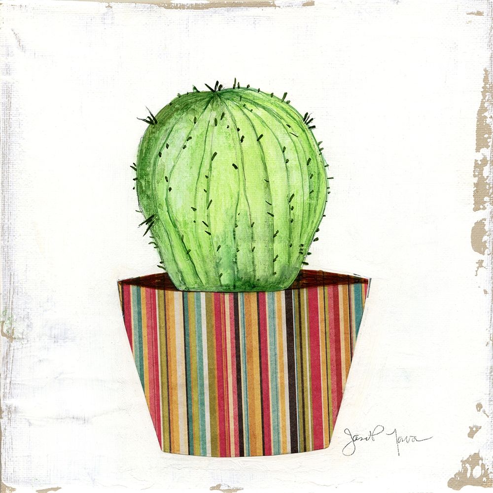 Cactos Boho III — Tava Studios