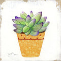Cactos Boho IV — Tava Studios
