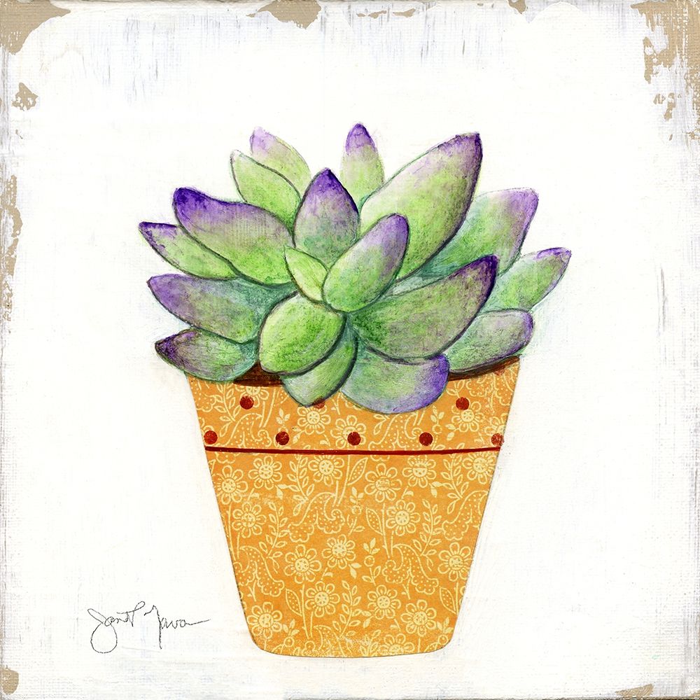 Cactos Boho IV — Tava Studios